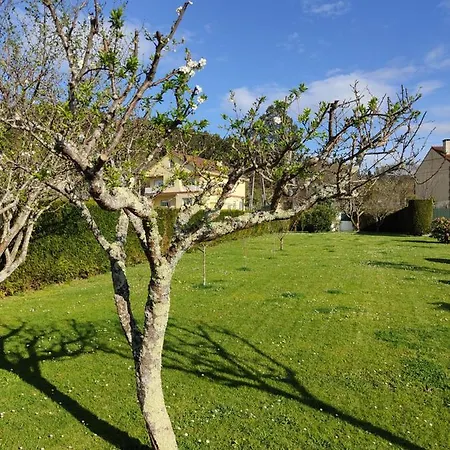 A Chamiseirina 아파트 *