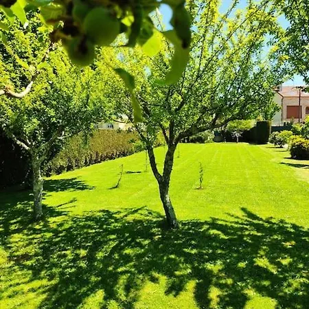 A Chamiseirina * 帕德隆