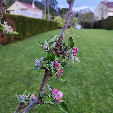 A Chamiseirina 아파트