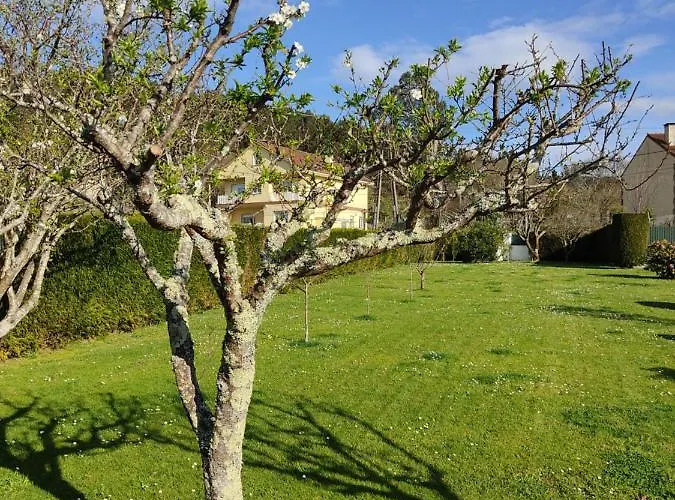 A Chamiseirina Lägenhet *