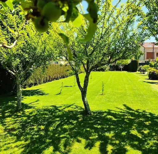 A Chamiseirina * Padrón