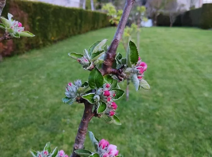 A Chamiseirina Lägenhet